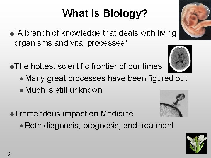 What is Biology? u“A branch of knowledge that deals with living organisms and vital
