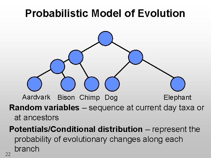 Probabilistic Model of Evolution Aardvark Bison Chimp Dog Elephant Random variables – sequence at