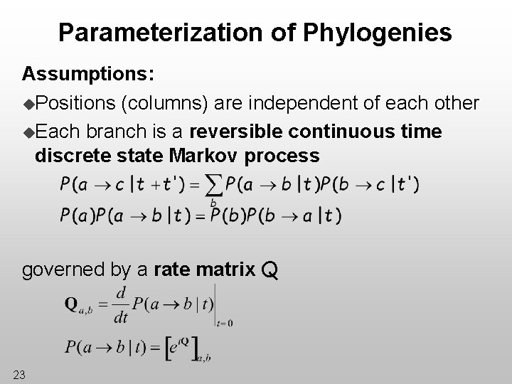Parameterization of Phylogenies Assumptions: u. Positions (columns) are independent of each other u. Each