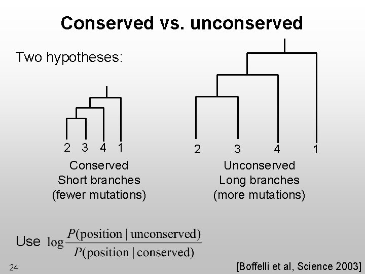 Conserved vs. unconserved Two hypotheses: 2 3 4 1 Conserved Short branches (fewer mutations)