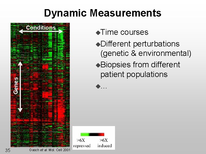 Dynamic Measurements Genes Conditions 35 Gasch et al. Mol. Cell 2001 u. Time courses
