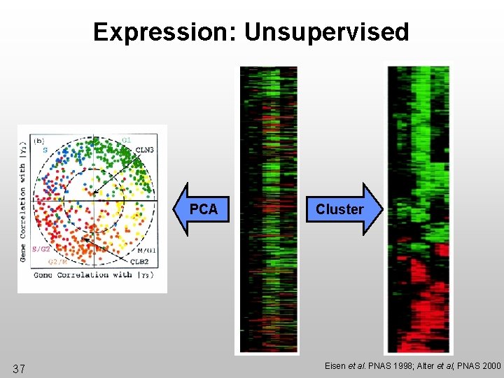 Expression: Unsupervised PCA 37 Cluster Eisen et al. PNAS 1998; Alter et al, PNAS