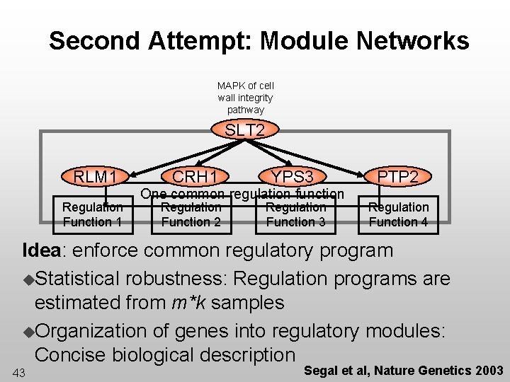 Second Attempt: Module Networks MAPK of cell wall integrity pathway SLT 2 RLM 1