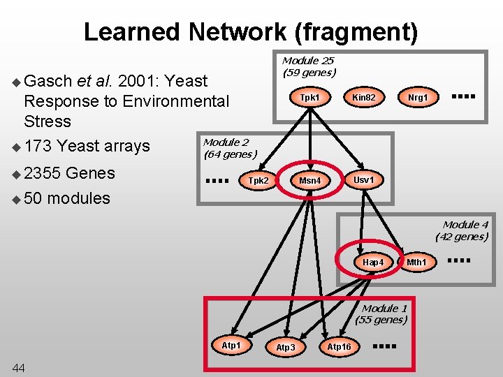 Learned Network (fragment) u Gasch et al. 2001: Yeast Response to Environmental Stress Module