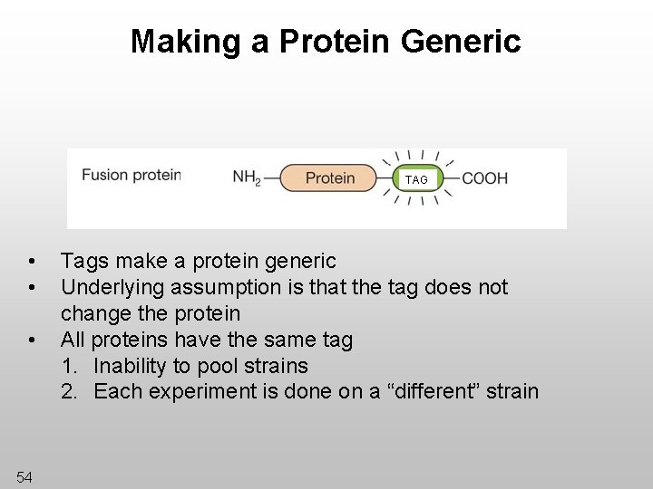 Making a Protein Generic TAG • • • 54 Tags make a protein generic