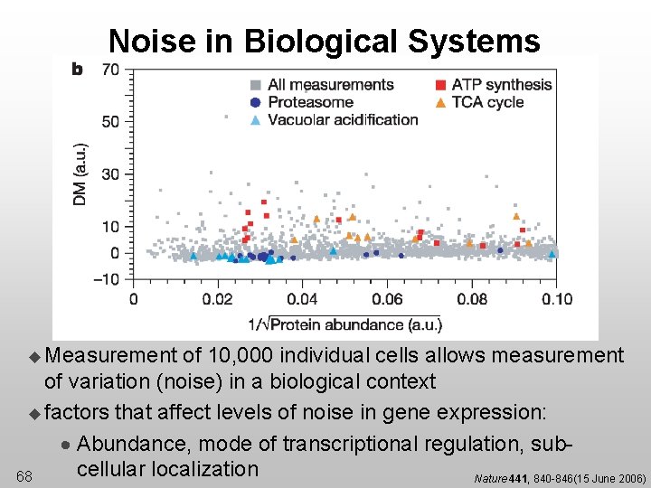 Noise in Biological Systems u Measurement of 10, 000 individual cells allows measurement of