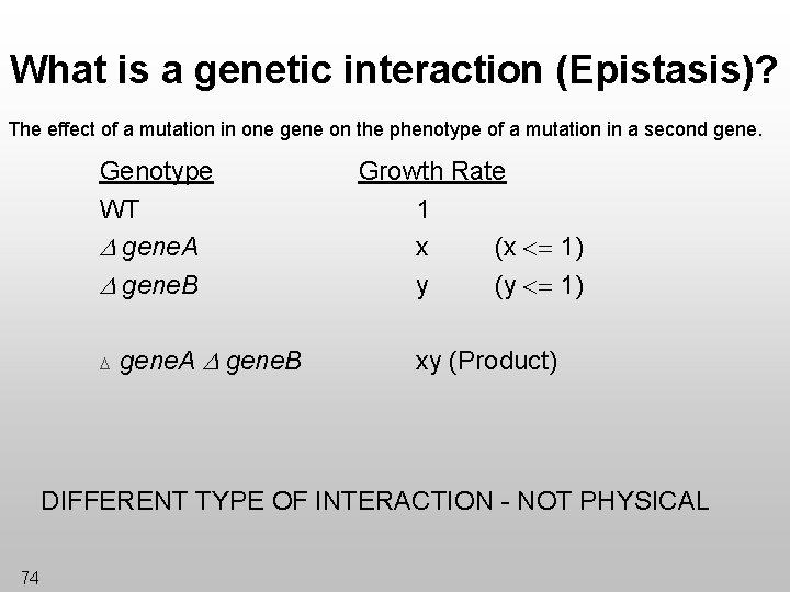 What is a genetic interaction (Epistasis)? The effect of a mutation in one gene