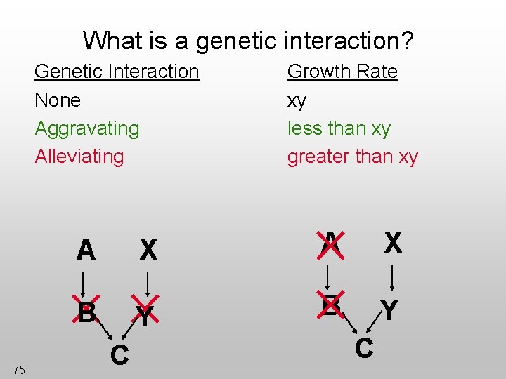 What is a genetic interaction? Genetic Interaction None Aggravating Alleviating A X B Y