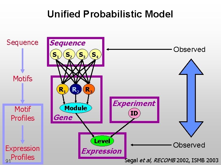 Unified Probabilistic Model Sequence S 1 S 2 S 3 Observed S 4 Motifs