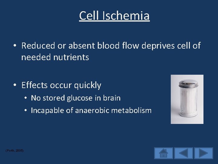 Cell Ischemia • Reduced or absent blood flow deprives cell of needed nutrients •