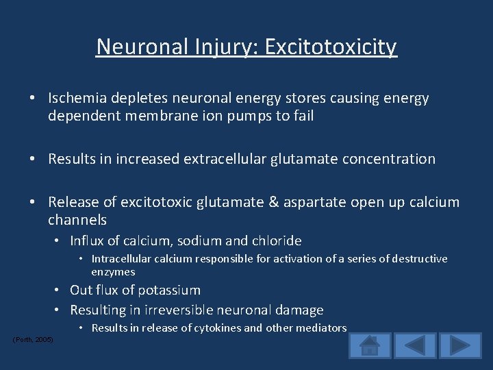 Neuronal Injury: Excitotoxicity • Ischemia depletes neuronal energy stores causing energy dependent membrane ion