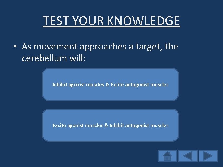 TEST YOUR KNOWLEDGE • As movement approaches a target, the cerebellum will: Yes! Inhibit