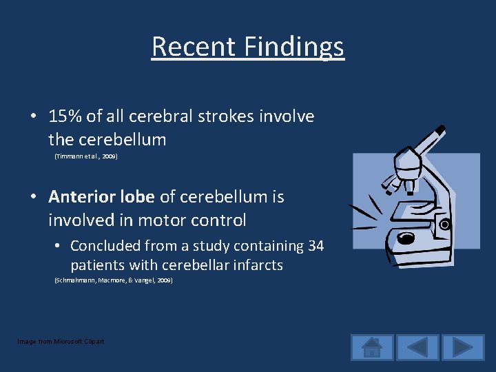 Recent Findings • 15% of all cerebral strokes involve the cerebellum (Timmann et al.