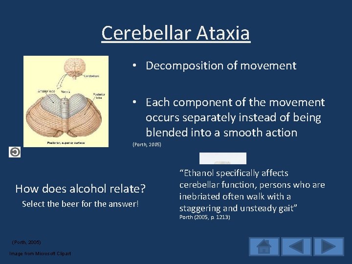 Cerebellar Ataxia • Decomposition of movement • Each component of the movement occurs separately