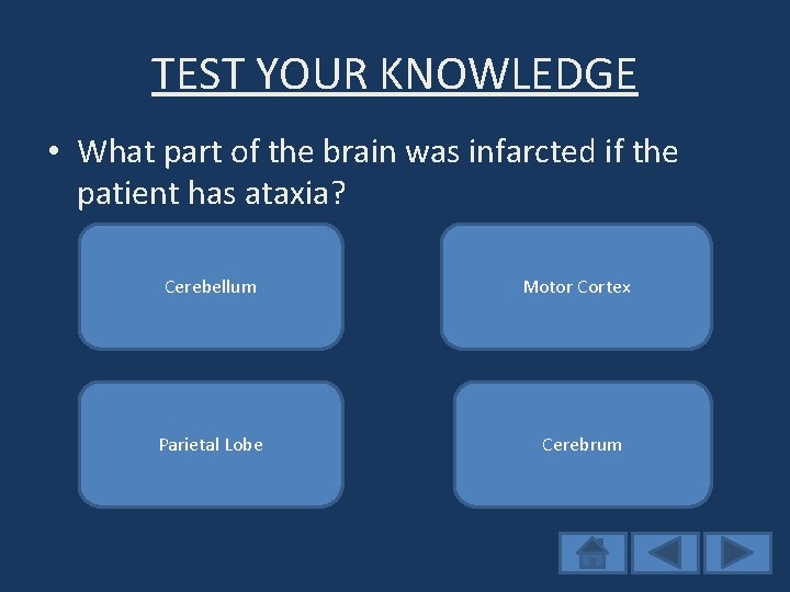 TEST YOUR KNOWLEDGE • What part of the brain was infarcted if the patient