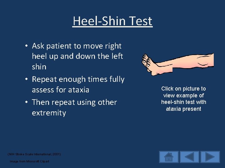 Heel-Shin Test • Ask patient to move right heel up and down the left