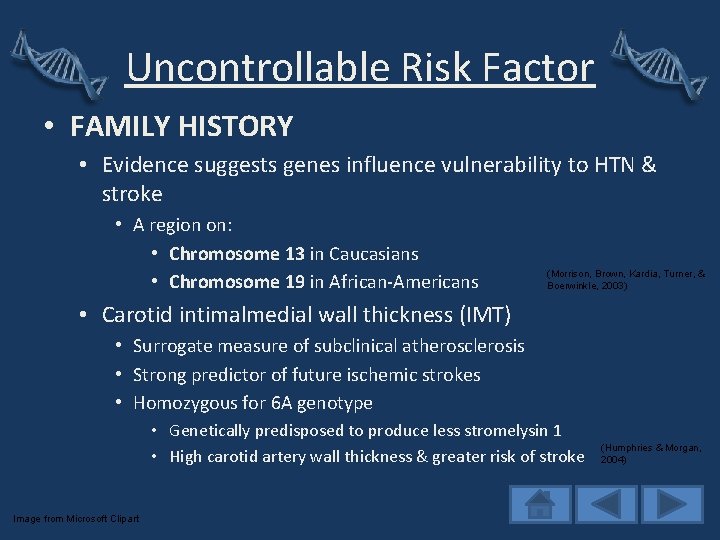 Uncontrollable Risk Factor • FAMILY HISTORY • Evidence suggests genes influence vulnerability to HTN