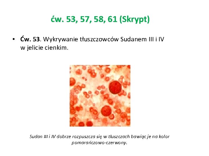 ćw. 53, 57, 58, 61 (Skrypt) • Ćw. 53. Wykrywanie tłuszczowców Sudanem III i