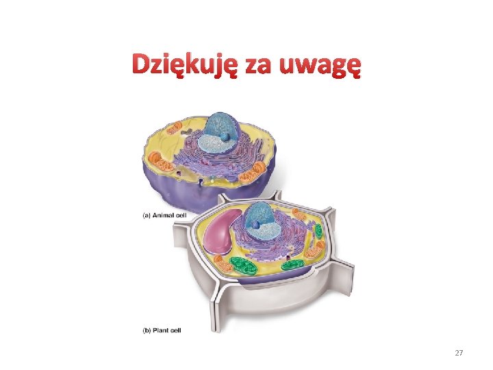 Dziękuję za uwagę 27 