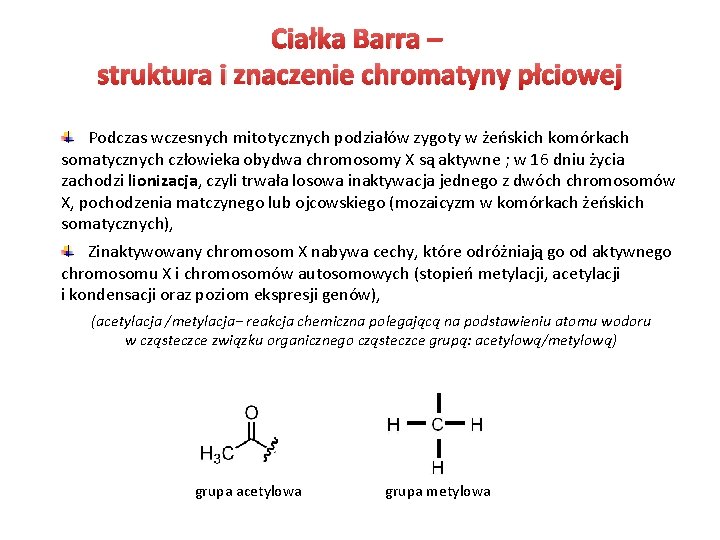 Ciałka Barra – struktura i znaczenie chromatyny płciowej Podczas wczesnych mitotycznych podziałów zygoty w