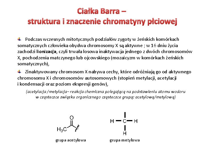 Ciałka Barra – struktura i znaczenie chromatyny płciowej Podczas wczesnych mitotycznych podziałów zygoty w Ciałka Barra – struktura i znaczenie chromatyny płciowej Podczas wczesnych mitotycznych podziałów zygoty w