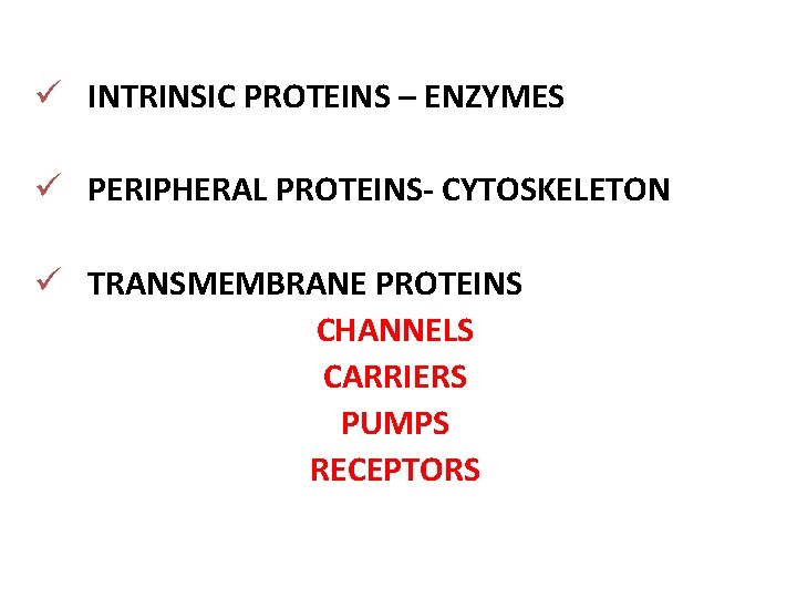 ü INTRINSIC PROTEINS – ENZYMES ü PERIPHERAL PROTEINS- CYTOSKELETON ü TRANSMEMBRANE PROTEINS CHANNELS CARRIERS