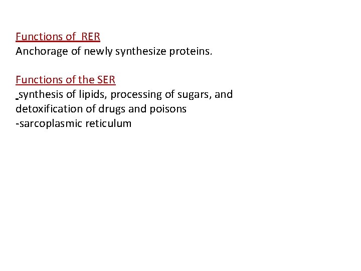 Functions of RER Anchorage of newly synthesize proteins. Functions of the SER synthesis of