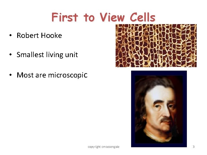 First to View Cells • Robert Hooke • Smallest living unit • Most are