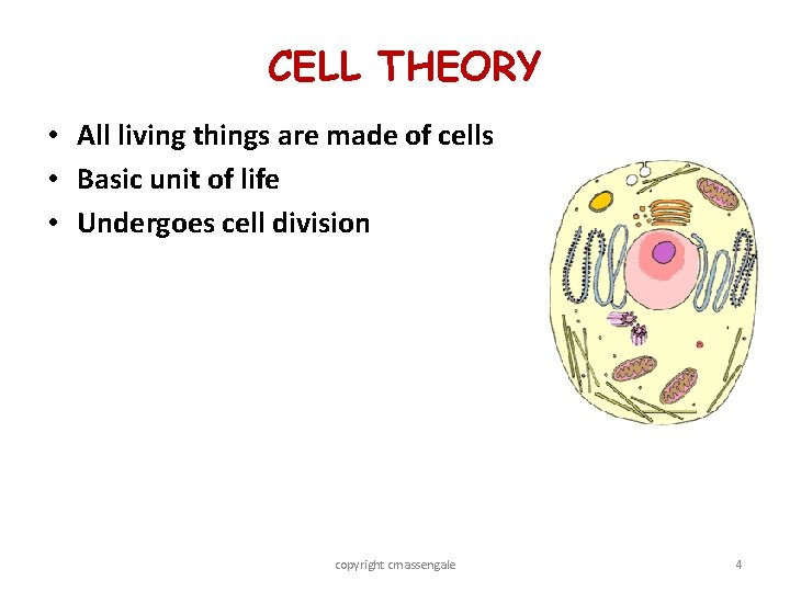 CELL THEORY • All living things are made of cells • Basic unit of