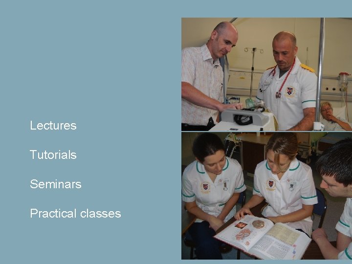 Lectures Tutorials Seminars Practical classes 