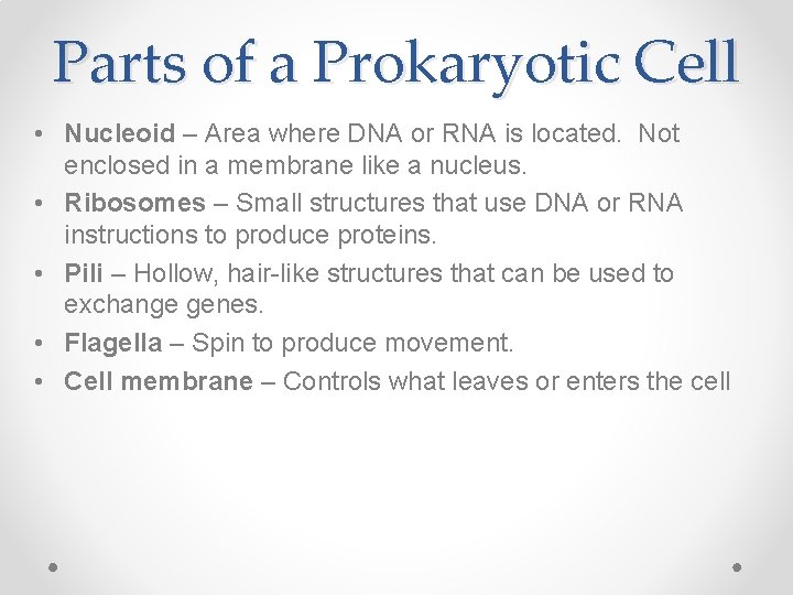 Parts of a Prokaryotic Cell • Nucleoid – Area where DNA or RNA is