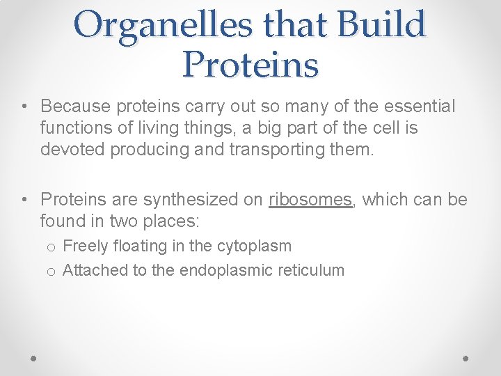 Organelles that Build Proteins • Because proteins carry out so many of the essential