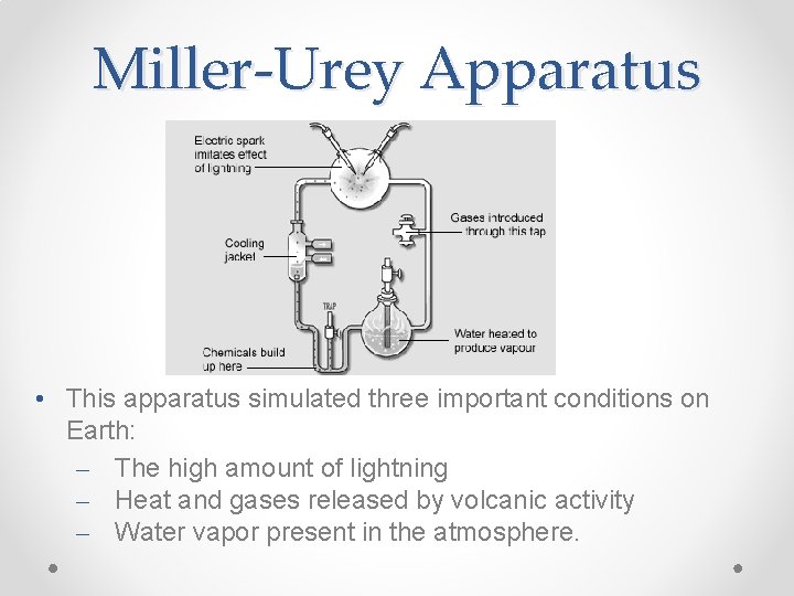 Miller-Urey Apparatus • This apparatus simulated three important conditions on Earth: – The high