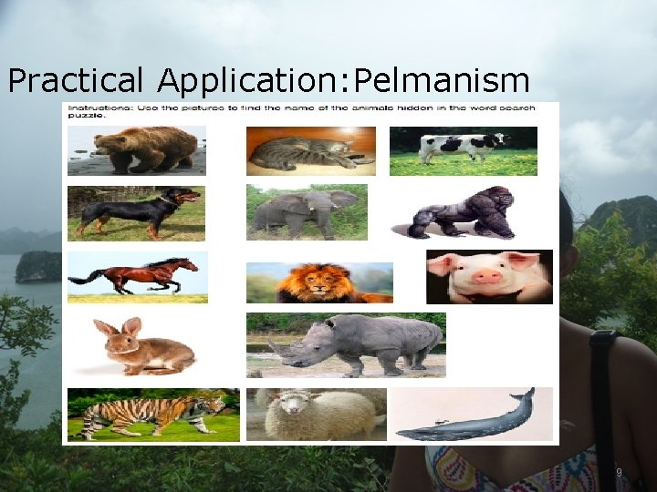 Practical Application: Pelmanism 9 