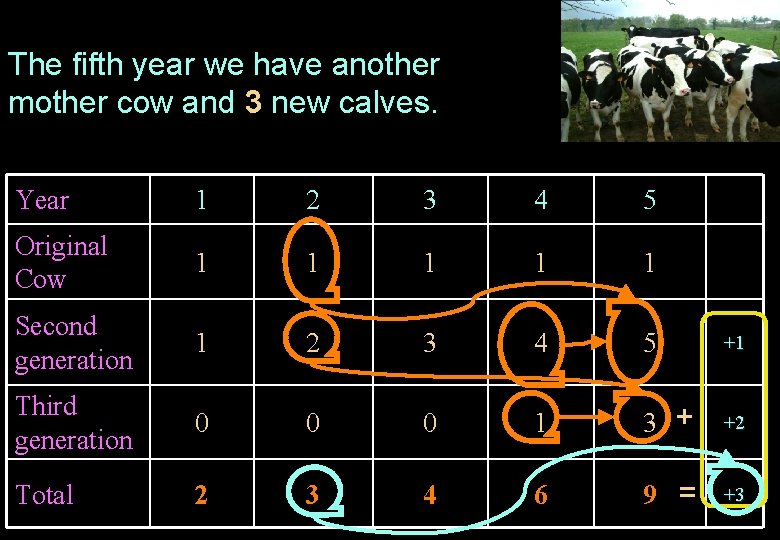 The fifth year we have another mother cow and 3 new calves. Year 1