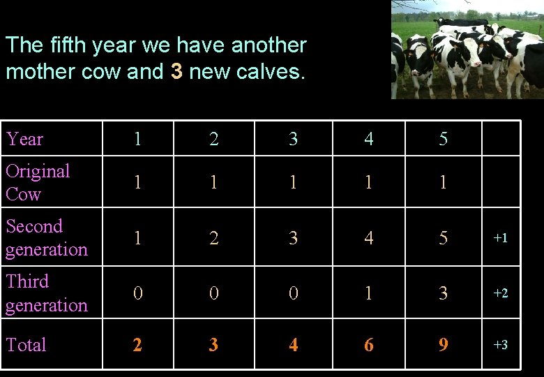 The fifth year we have another mother cow and 3 new calves. Year 1