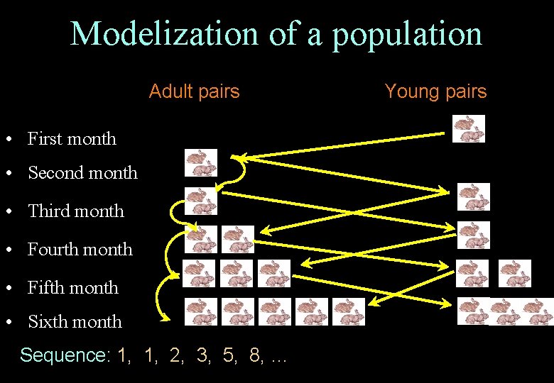 Modelization of a population Adult pairs • First month • Second month • Third