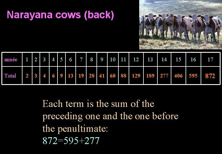 Narayana cows (back) année 1 2 3 4 5 6 7 8 9 10