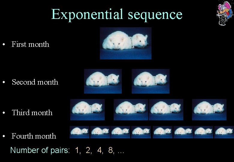Exponential sequence • First month • Second month • Third month • Fourth month