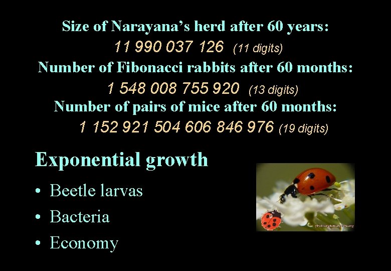 Size of Narayana’s herd after 60 years: 11 990 037 126 (11 digits) Number