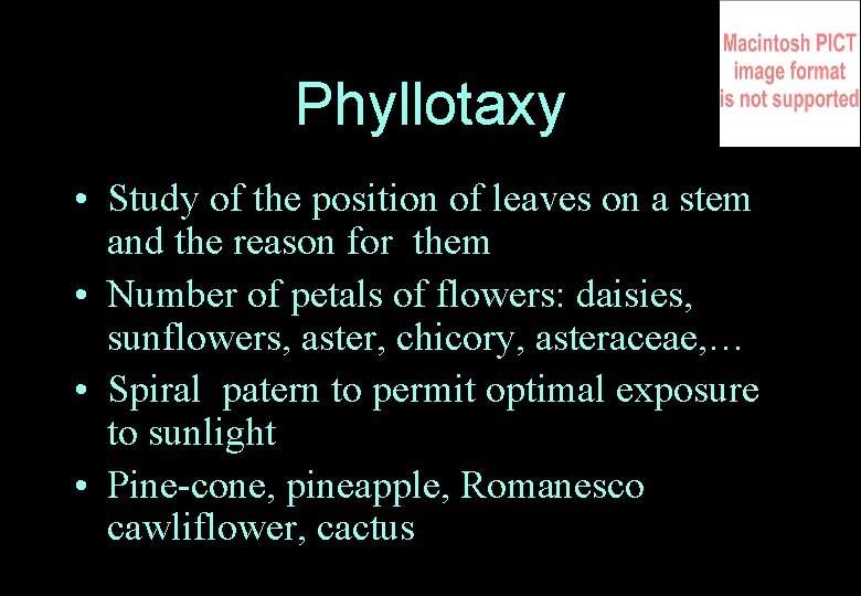 Phyllotaxy • Study of the position of leaves on a stem and the reason