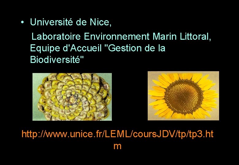 • Université de Nice, Laboratoire Environnement Marin Littoral, Equipe d'Accueil "Gestion de la