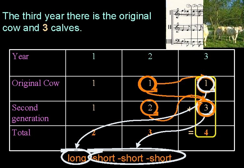 The third year there is the original cow and 3 calves. Year 1 2
