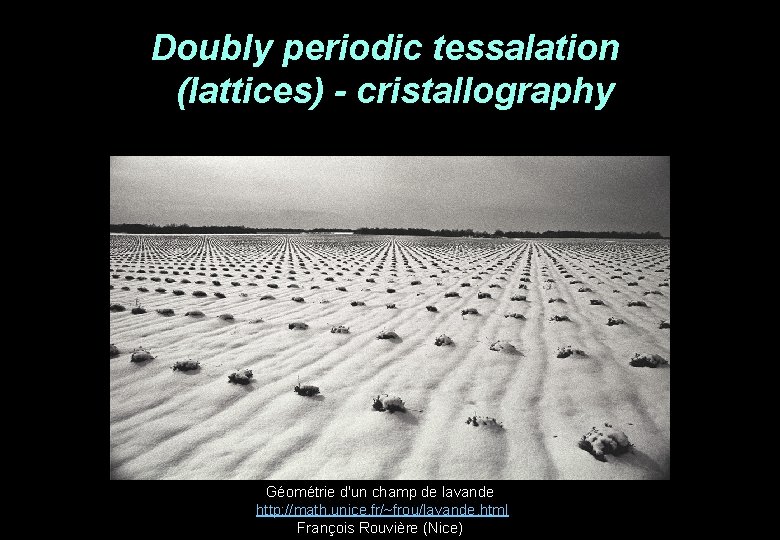 Doubly periodic tessalation (lattices) - cristallography Géométrie d'un champ de lavande http: //math. unice.