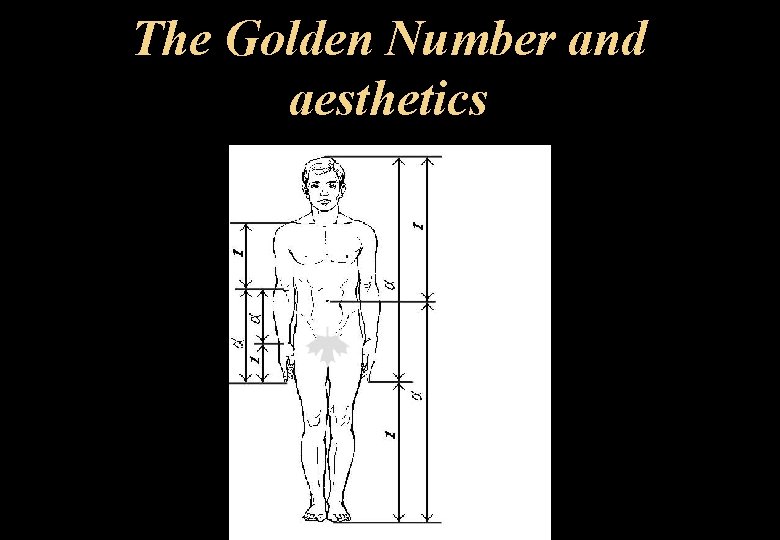 The Golden Number and aesthetics 