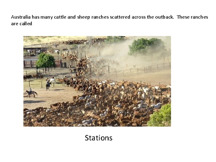Australia has many cattle and sheep ranches scattered across the outback. These ranches are