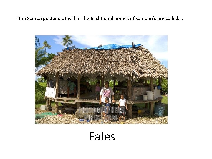 The Samoa poster states that the traditional homes of Samoan’s are called…. Fales 