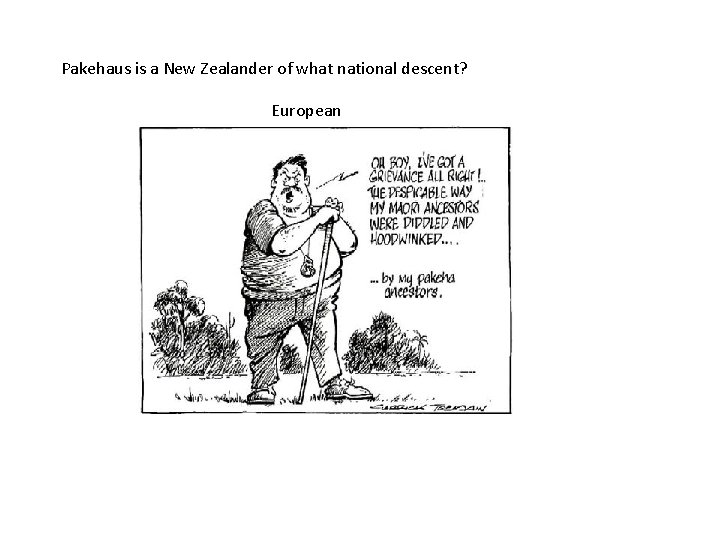 Pakehaus is a New Zealander of what national descent? European 