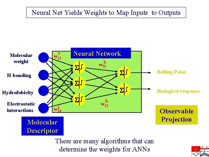 Neural Net Yields Weights to Map Inputs to Outputs Molecular weight w 11 Neural