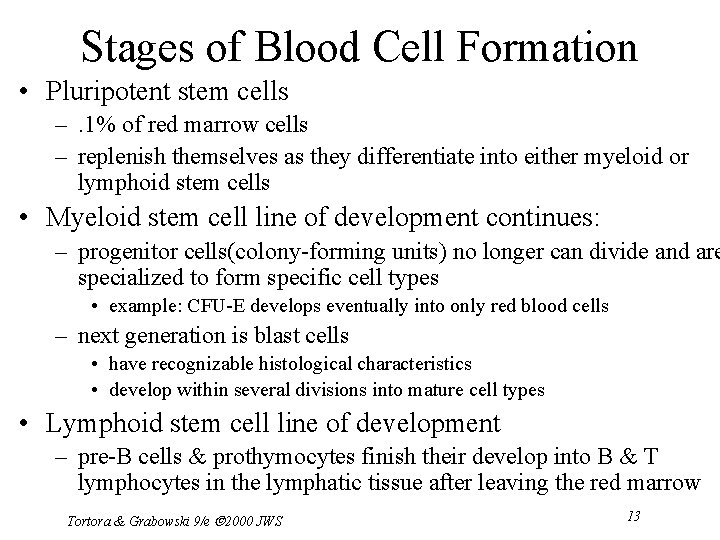 Stages of Blood Cell Formation • Pluripotent stem cells –. 1% of red marrow